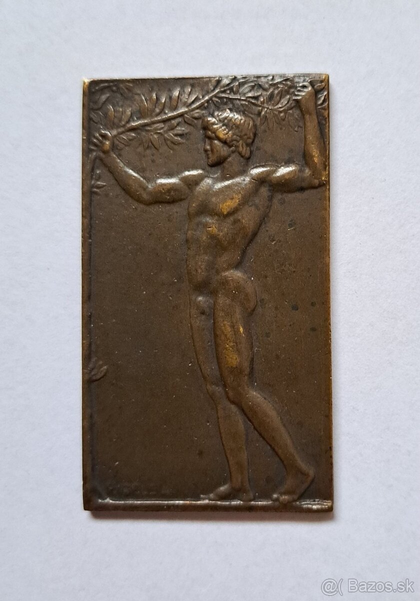 Rigele- medaila Bratislava 1880- R