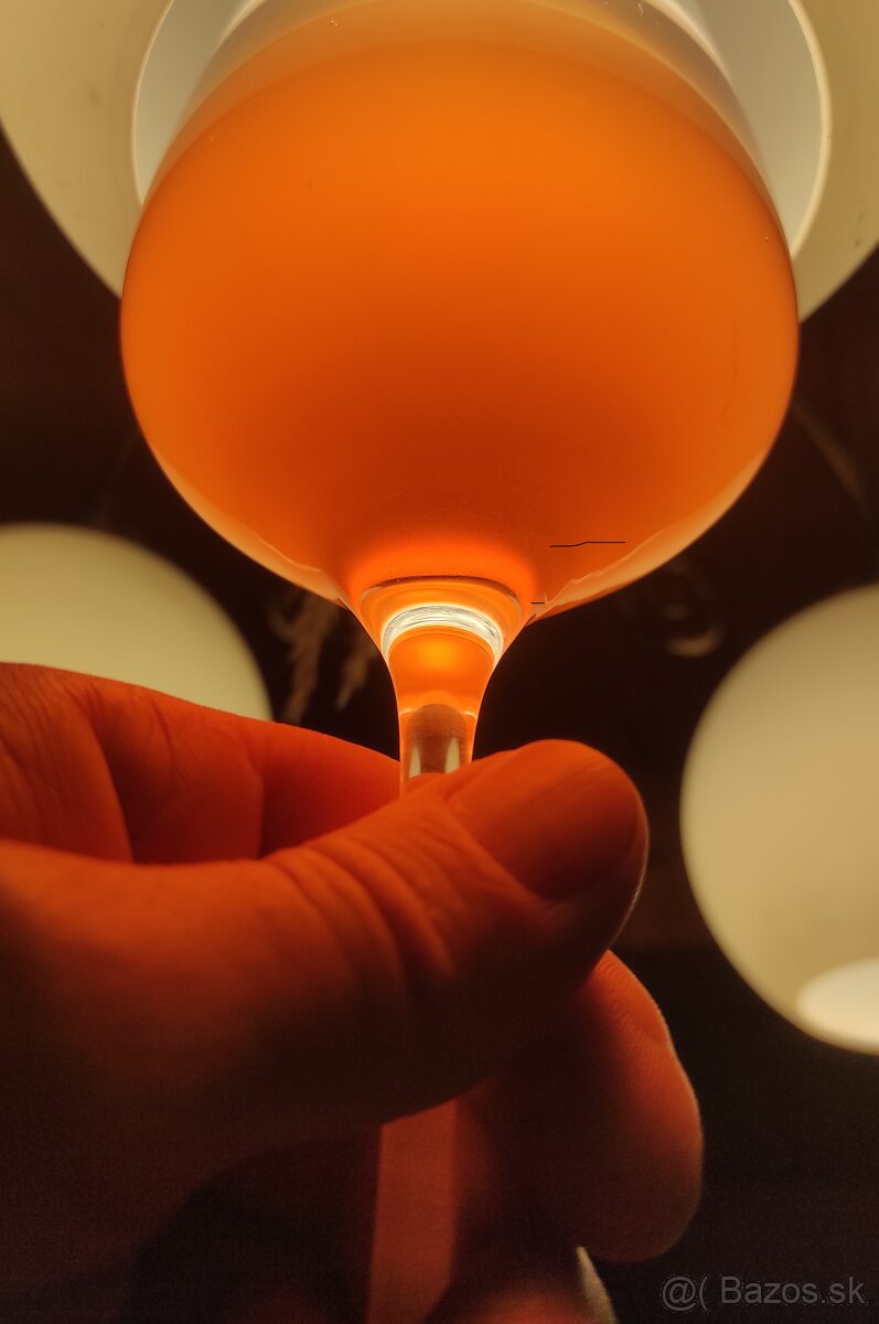 DOMÁCA KOMBUCHA – kultúra (huba SCOBY)
