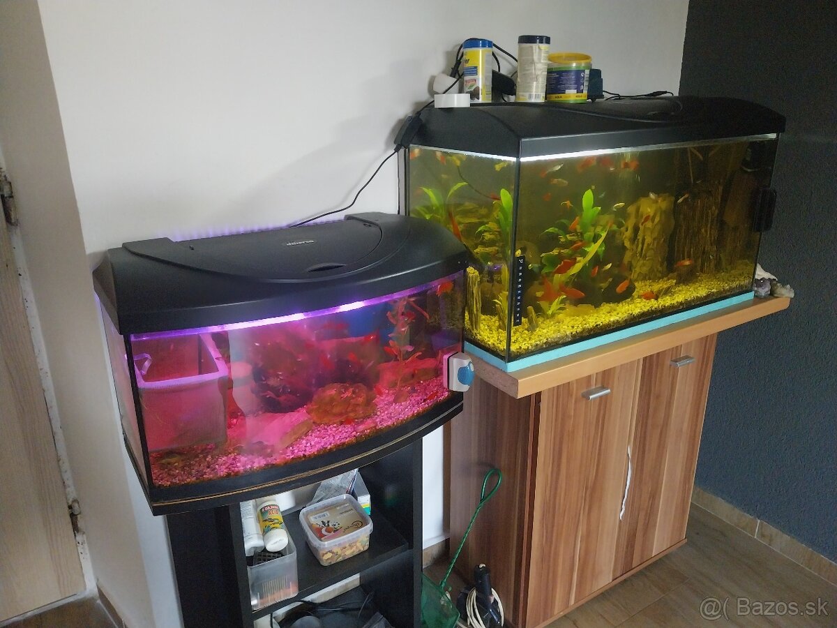 Akvárium diversa 120l a 54l veľa ryb