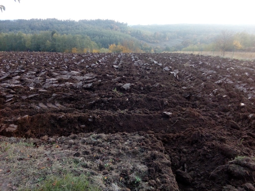 Vysporiadanie pozemkov