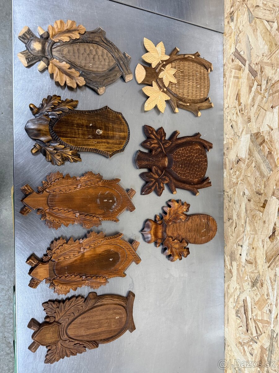 Trofej,parohy,parozie,srnec