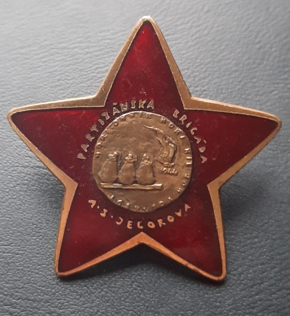 Partizanska brigada Jegorova