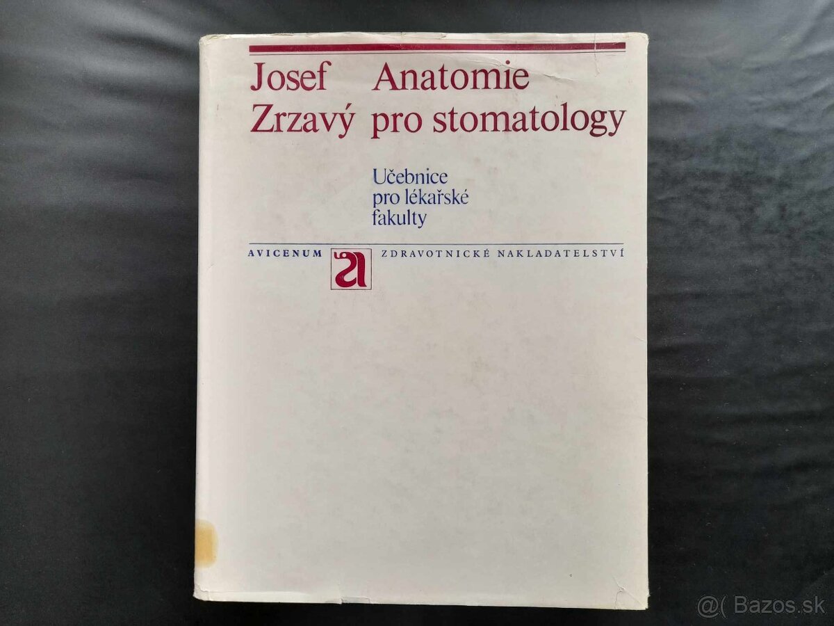 Anatomie pro stomatology