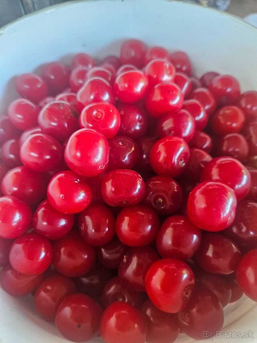 Višne