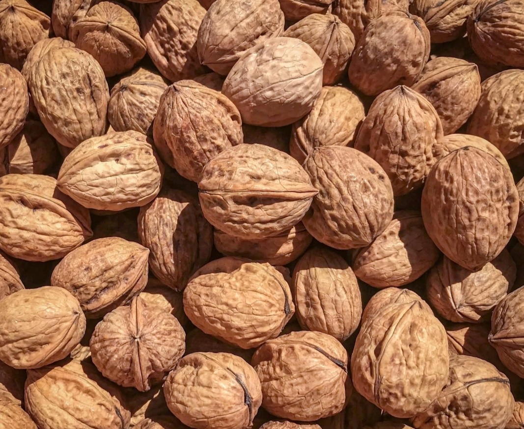 Vlašské orechy nelúpané
