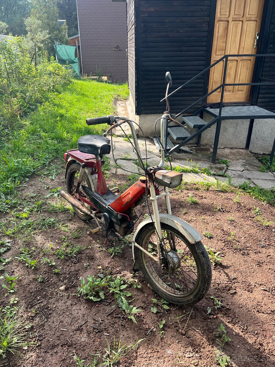 ✅Babetta 207✅