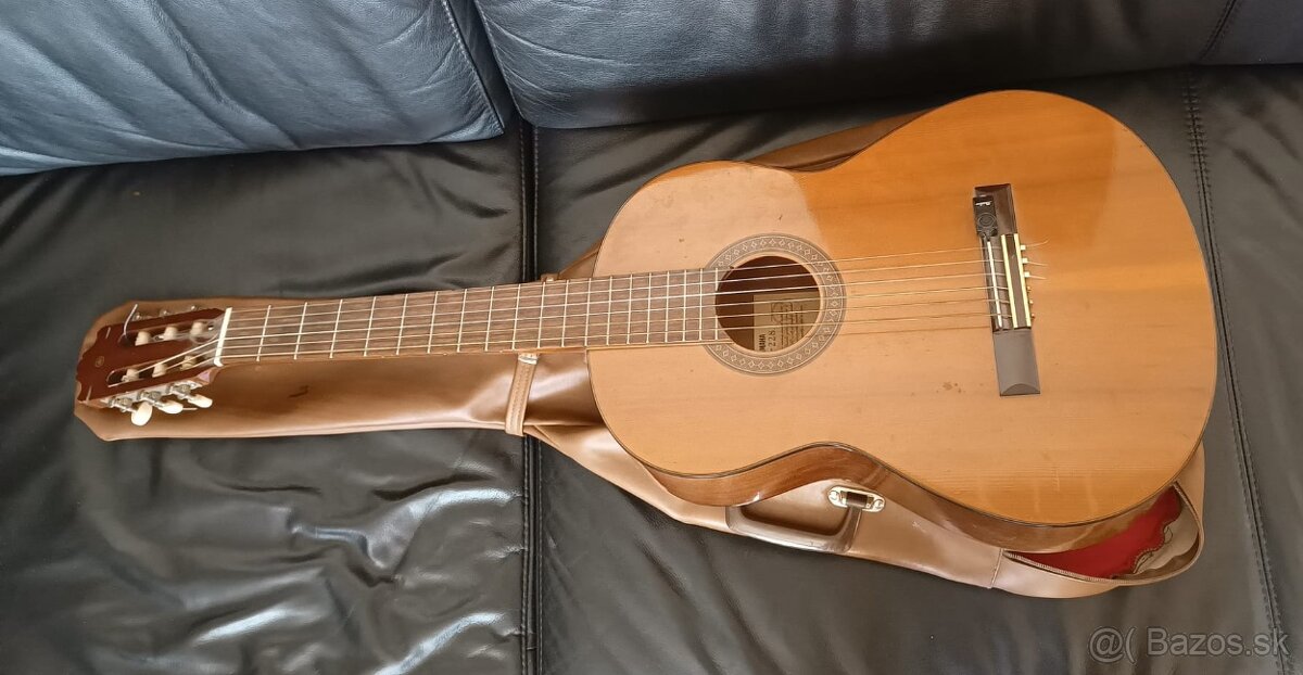 Gitara YAMAHA G228