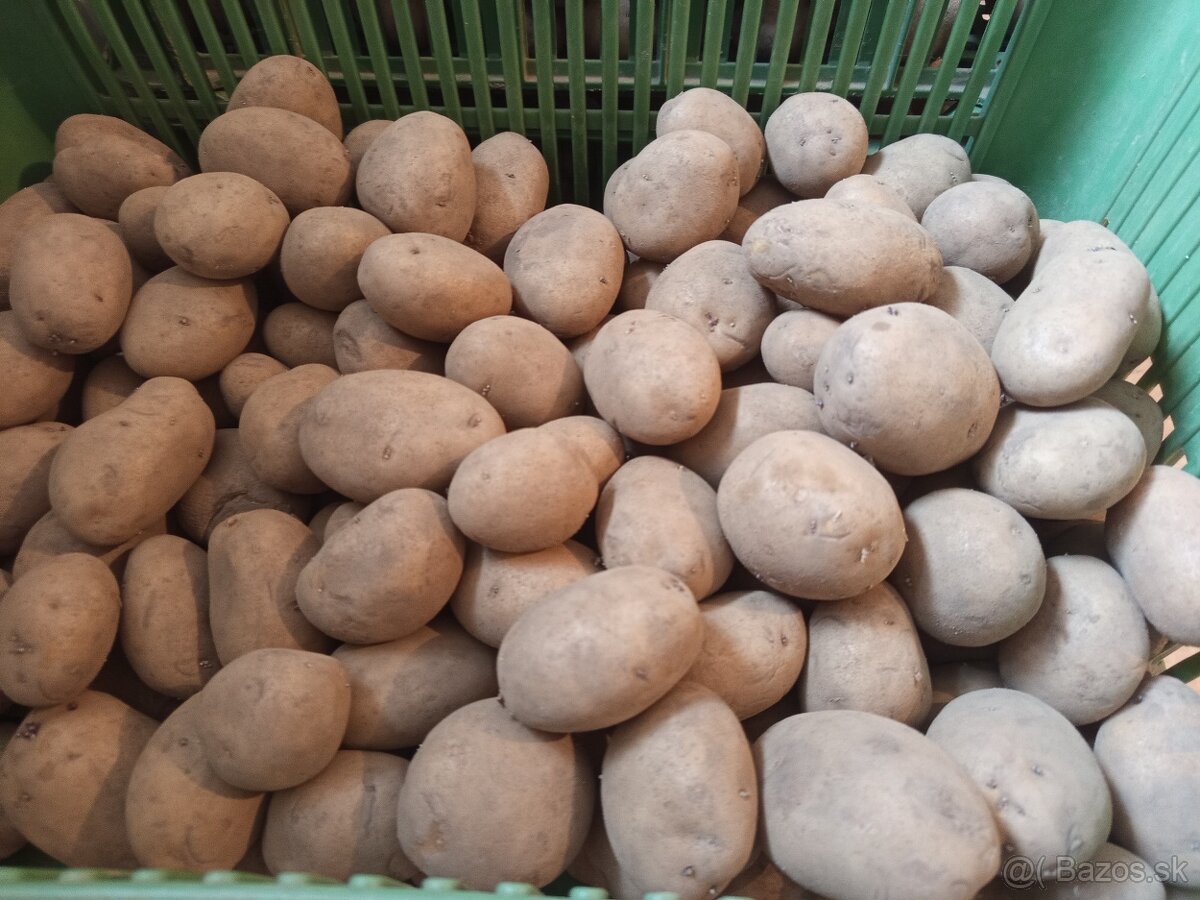 Konzumné zemiaky
