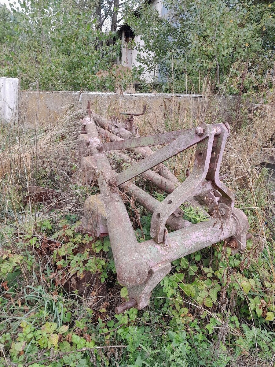 Pluh 5 radličný