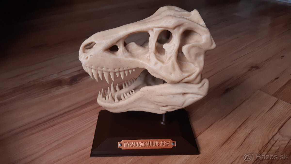 Lebka Tyrannosaura Rexa