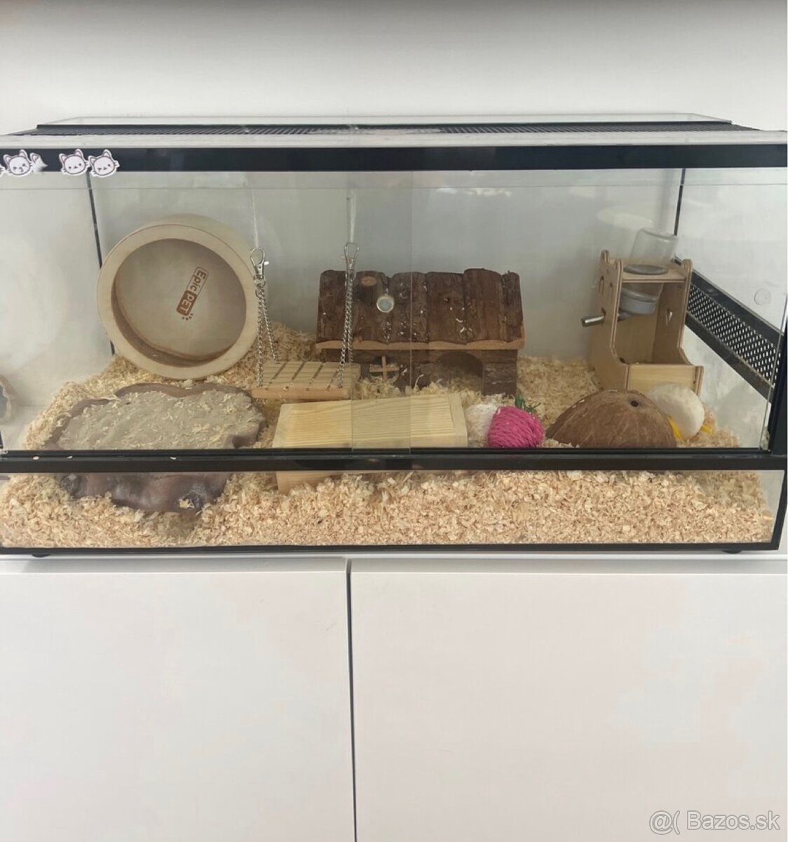 Terarko terarium so škrečkom skrecok agama gekon