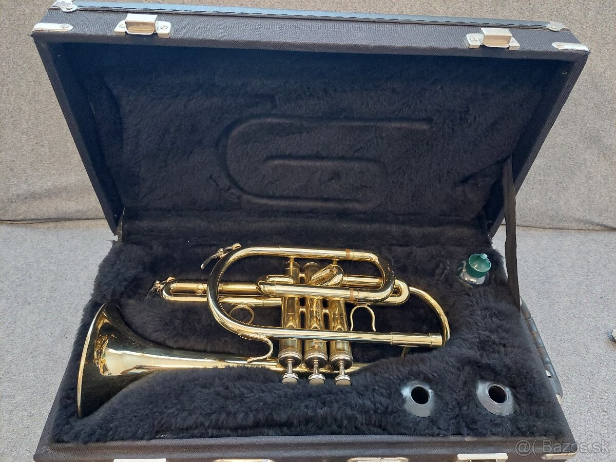 Vianočné upratovanie WERIL