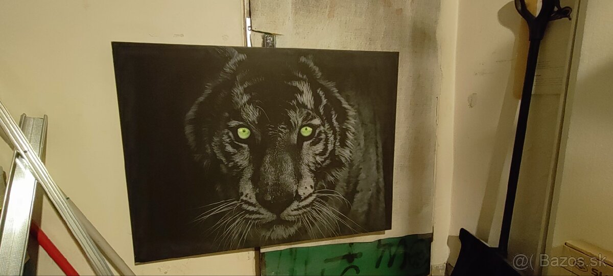 Obraz tigra na výšku 75cm a na dĺžku 100cm