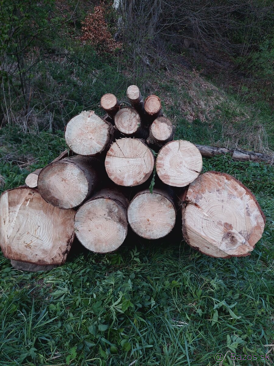 Predám (palivové) drevo