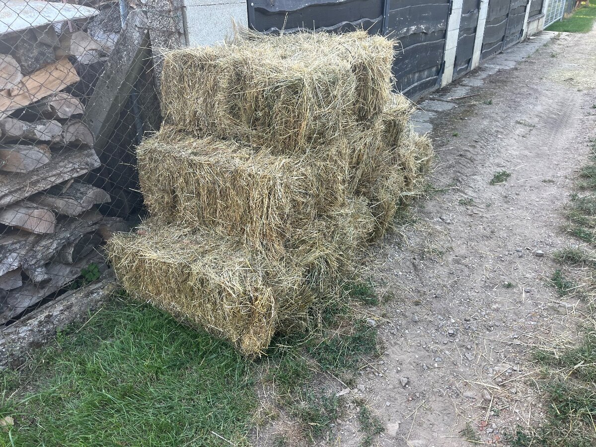 Nové balíky