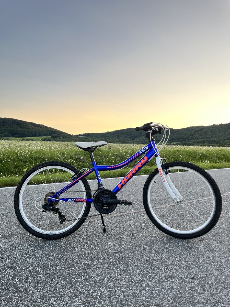 Detský bicykel Harry Jetty XCX 24 
