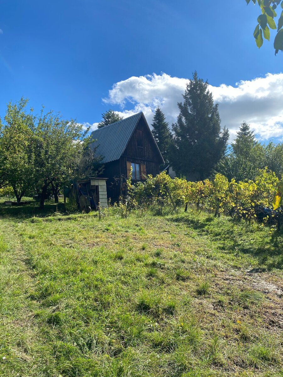 Uvoľnená rezervácia- Záhradka za vodojemom VK