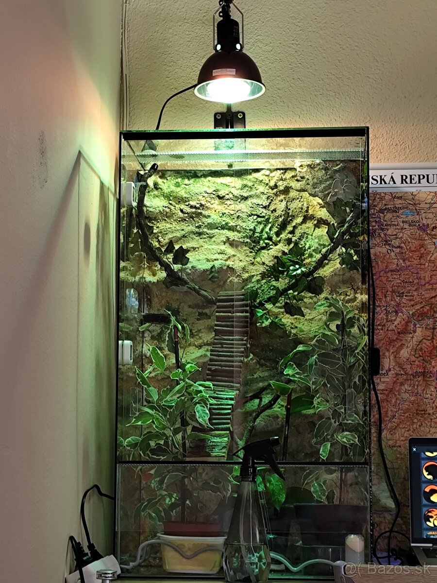 Terarium