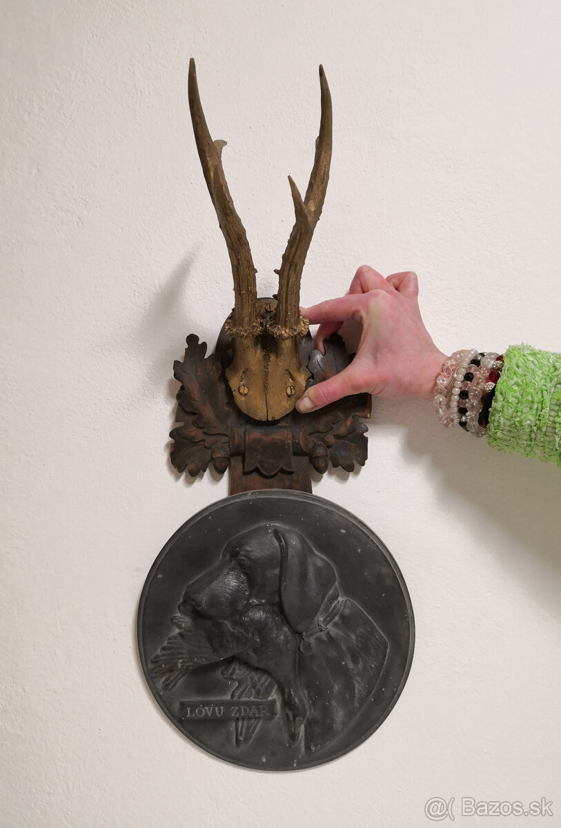 Trofej lovu zdar HOLBA 75 Vyžla