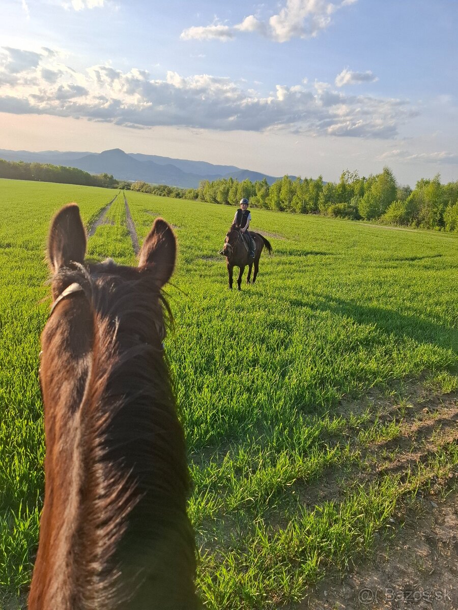 Ustajnenie