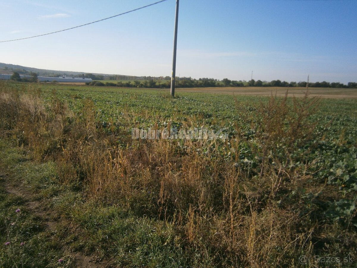 pozemok vhodný pre výstavbu rodinných domov o výmere 10 ha v