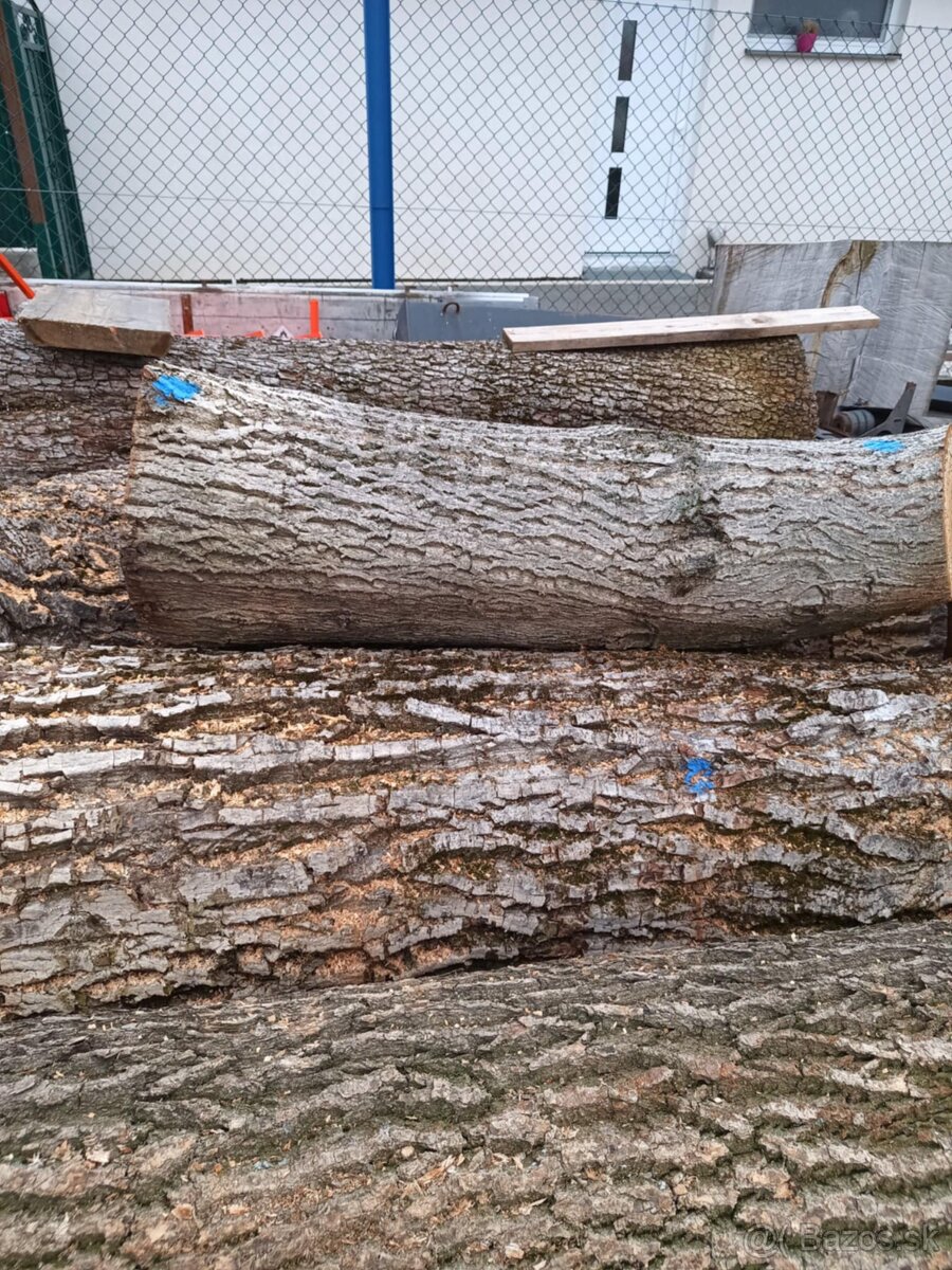 Orechové kmene, orechové fošne