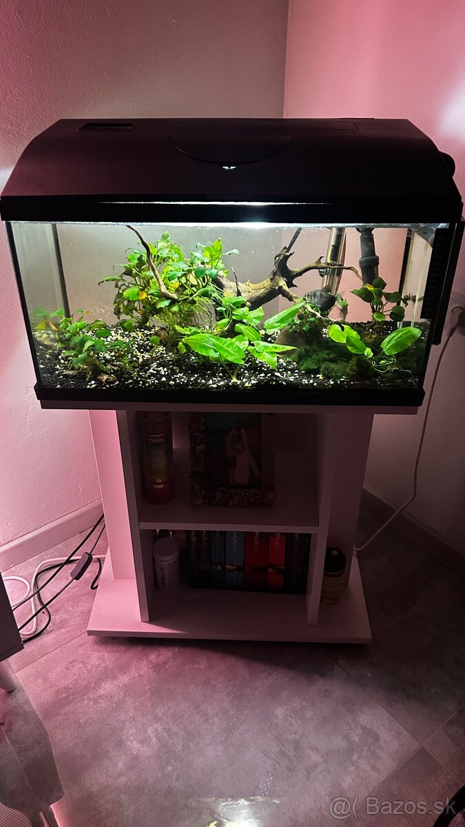 Akvárium 56l + externy filter + stojan na mieru