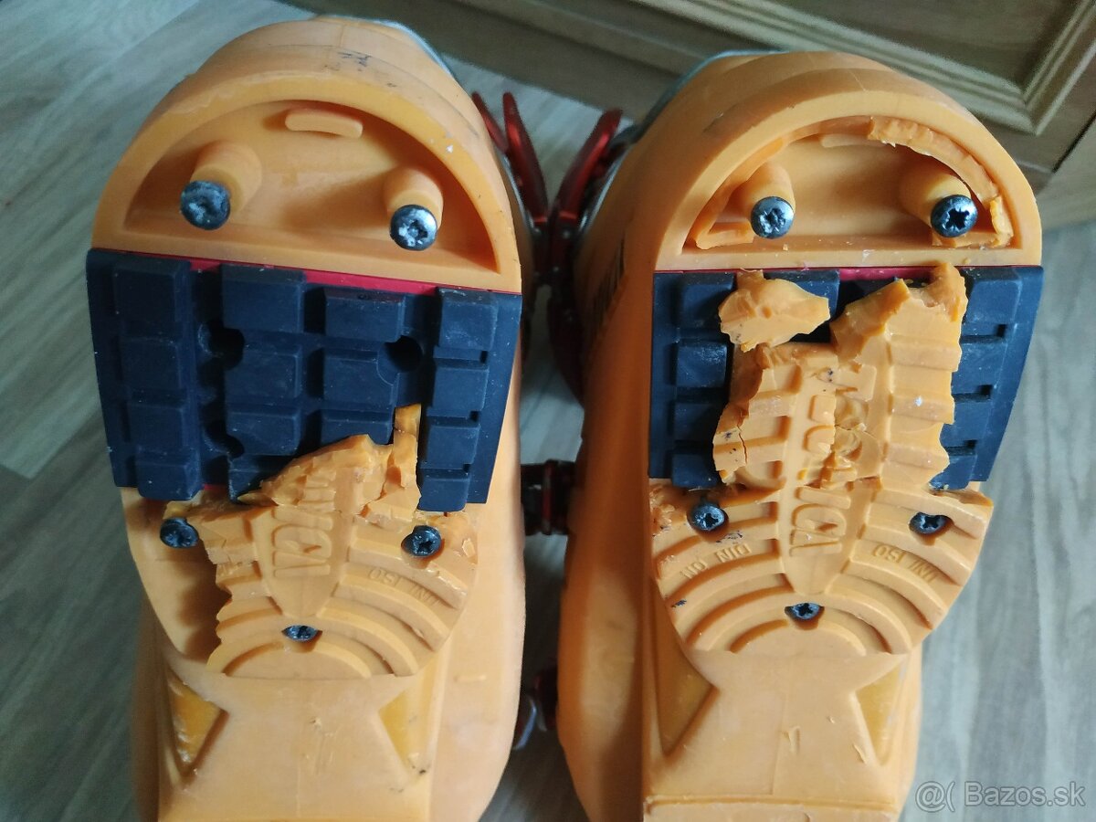 Lyziarky Tecnica Icon