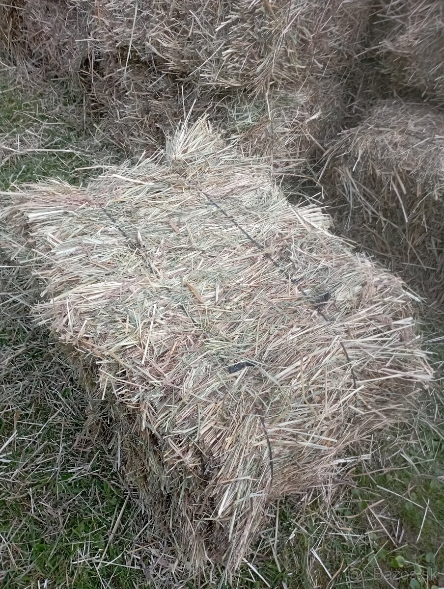 Balíky sena