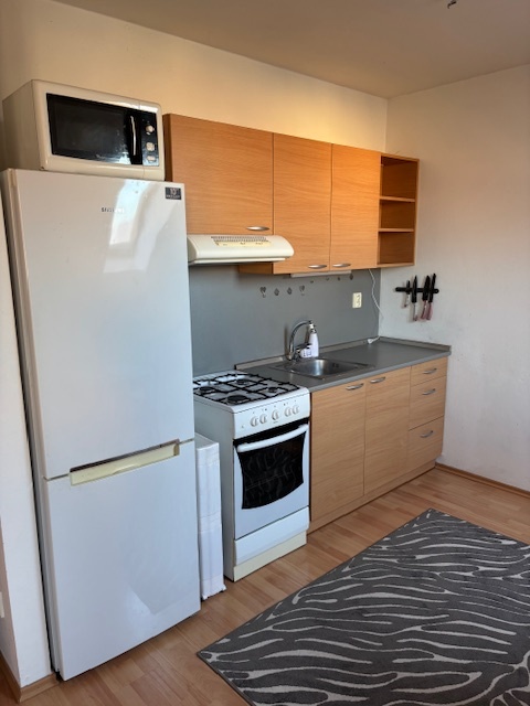 Prenájom 2 izbový byt Nitra Južná ul.