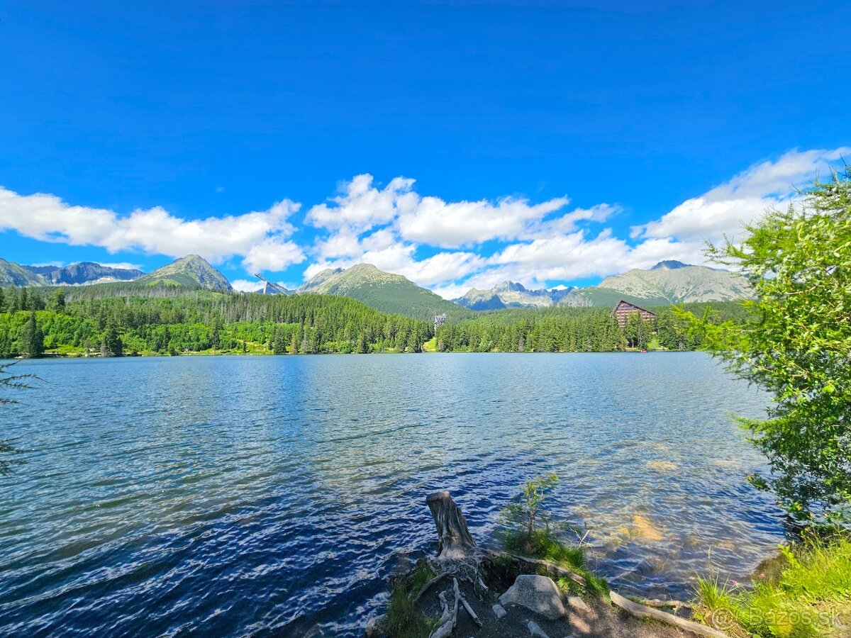 Štrba, Štrbské Pleso – 2.280 m2 LESOV (Urbáru)