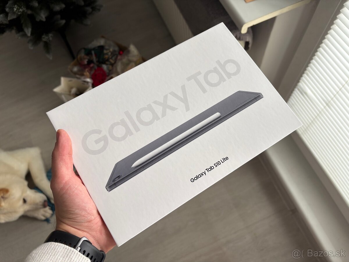 Samsung Galaxy TAB S10 Lite + PEN