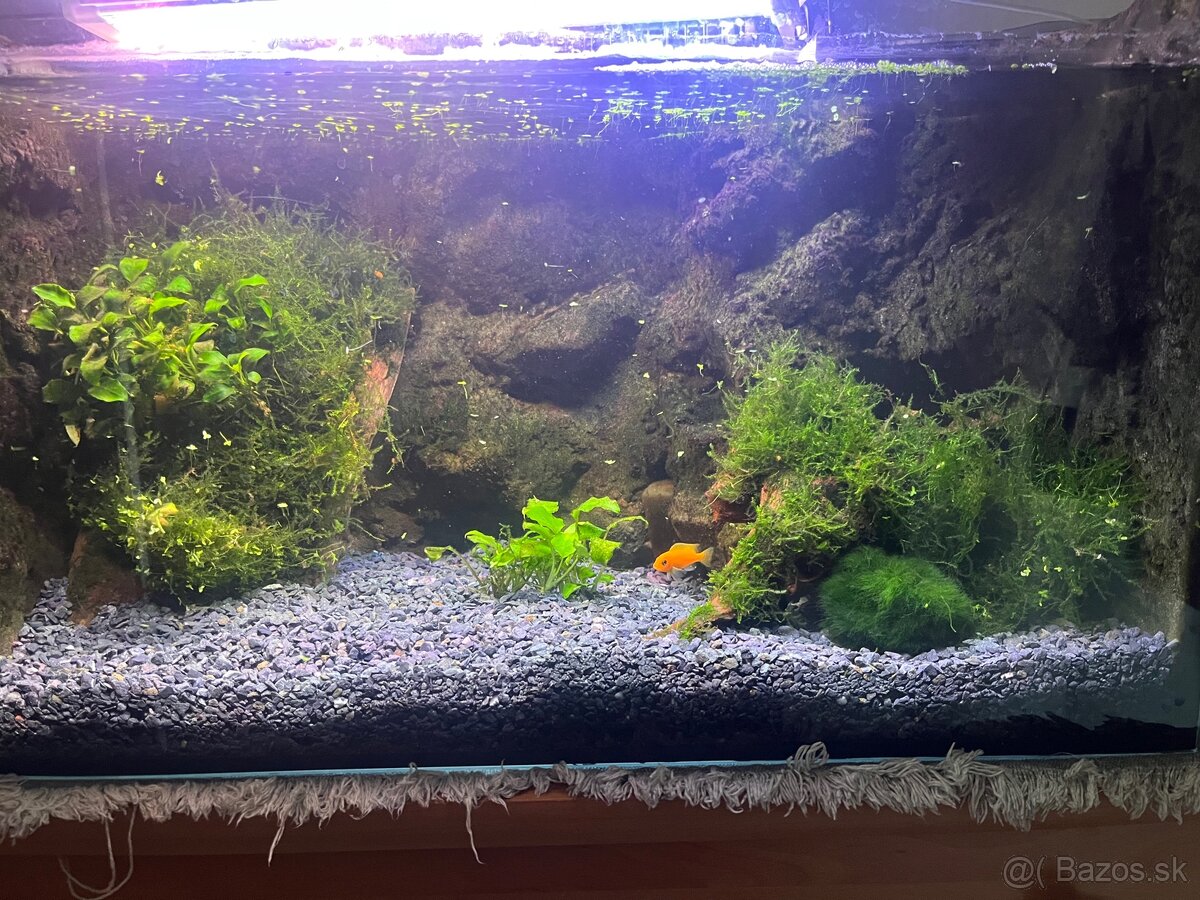 Akvarium s prislusenstvom