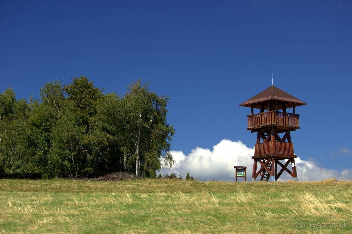 Polina – 2.384 m2 LESY a ORNÁ PÔDA– Na Predaj