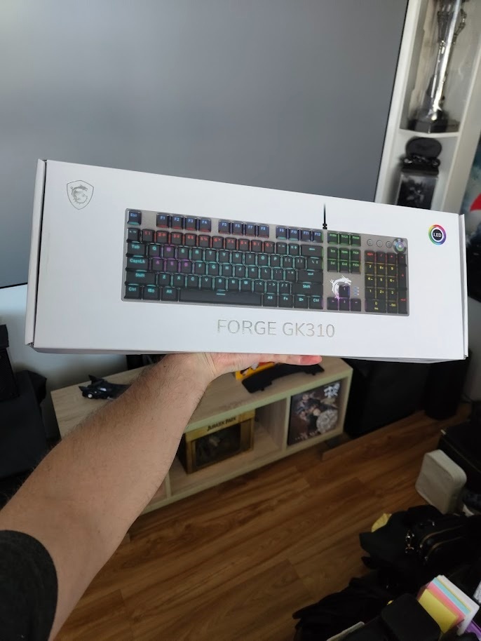 MSI FORGE GK310