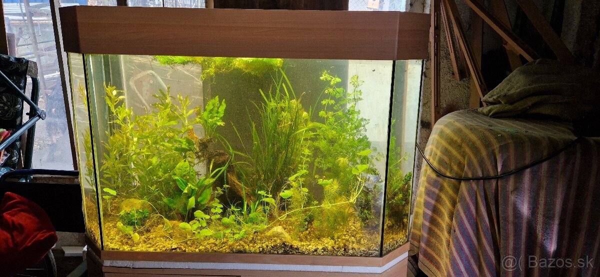 Akvárium 270l