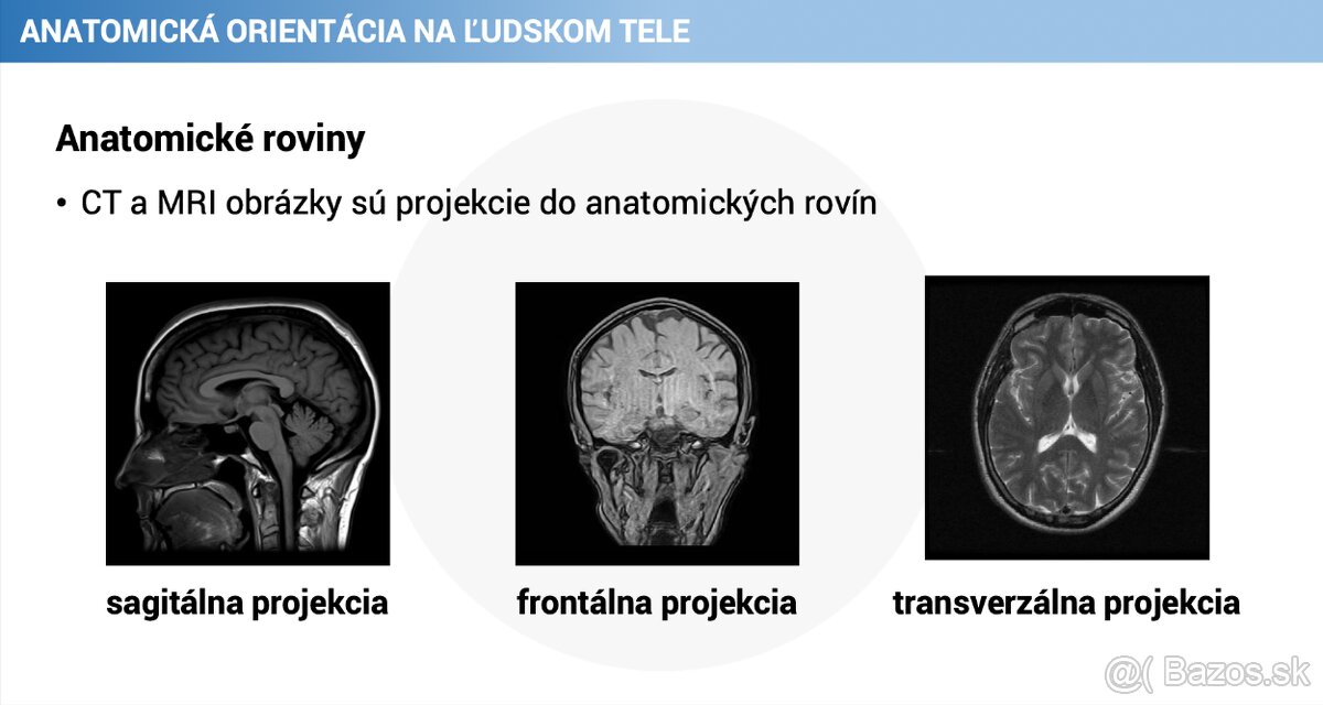Ľudské telo - detailné poznámky