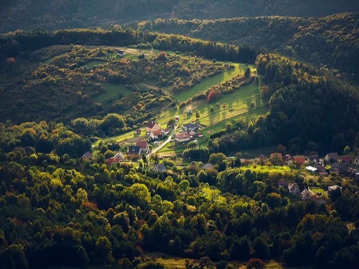 Temeš – Spoluvlastnícky podiel na ornej pôde a lesoch