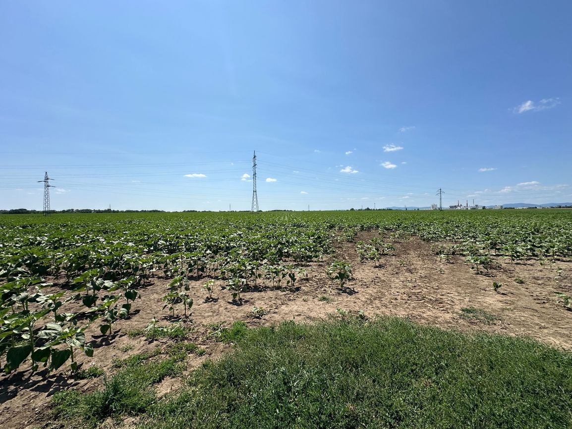 NA PREDAJ: ORNÁ PÔDA V SMERE NA ZELENEČ, TRNAVA