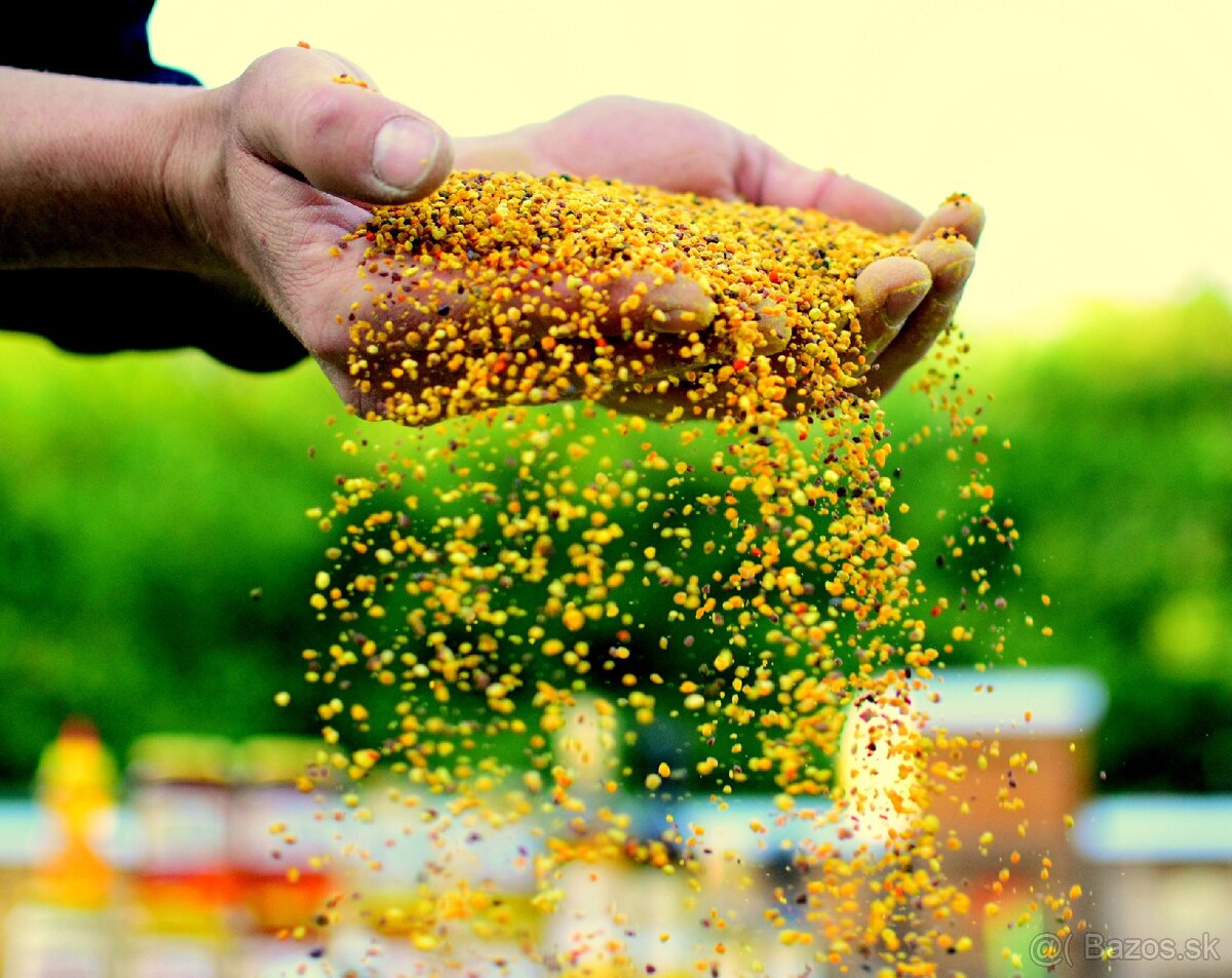 Včelí peľ top kvalita