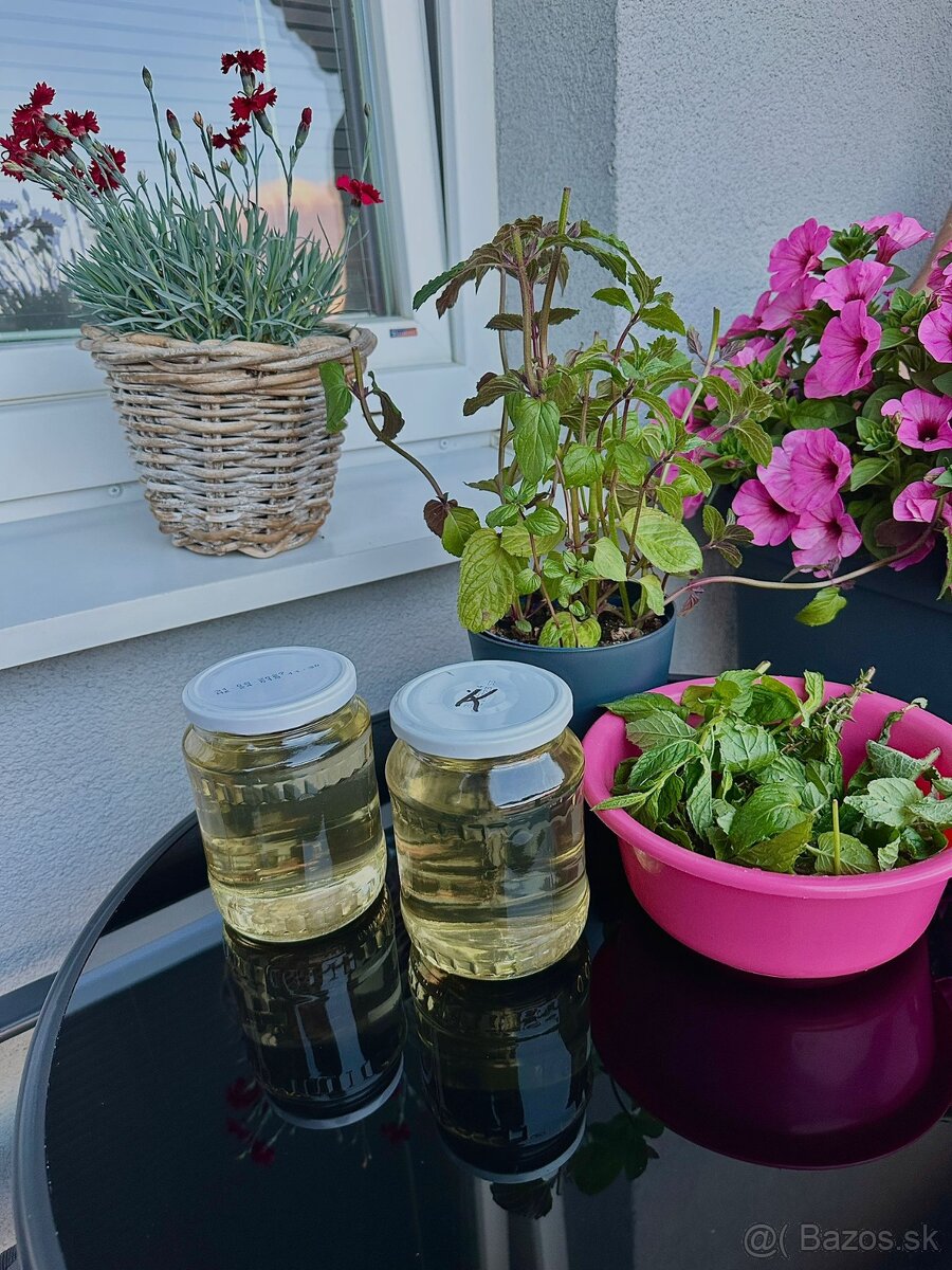 🌿 Predám čerstvý domáci sirup 🌿