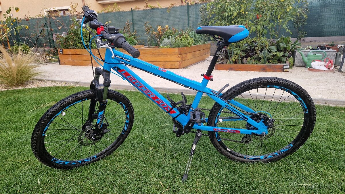 Leader Fox Eager Boy 24"