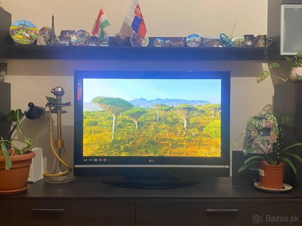 Televizor LG