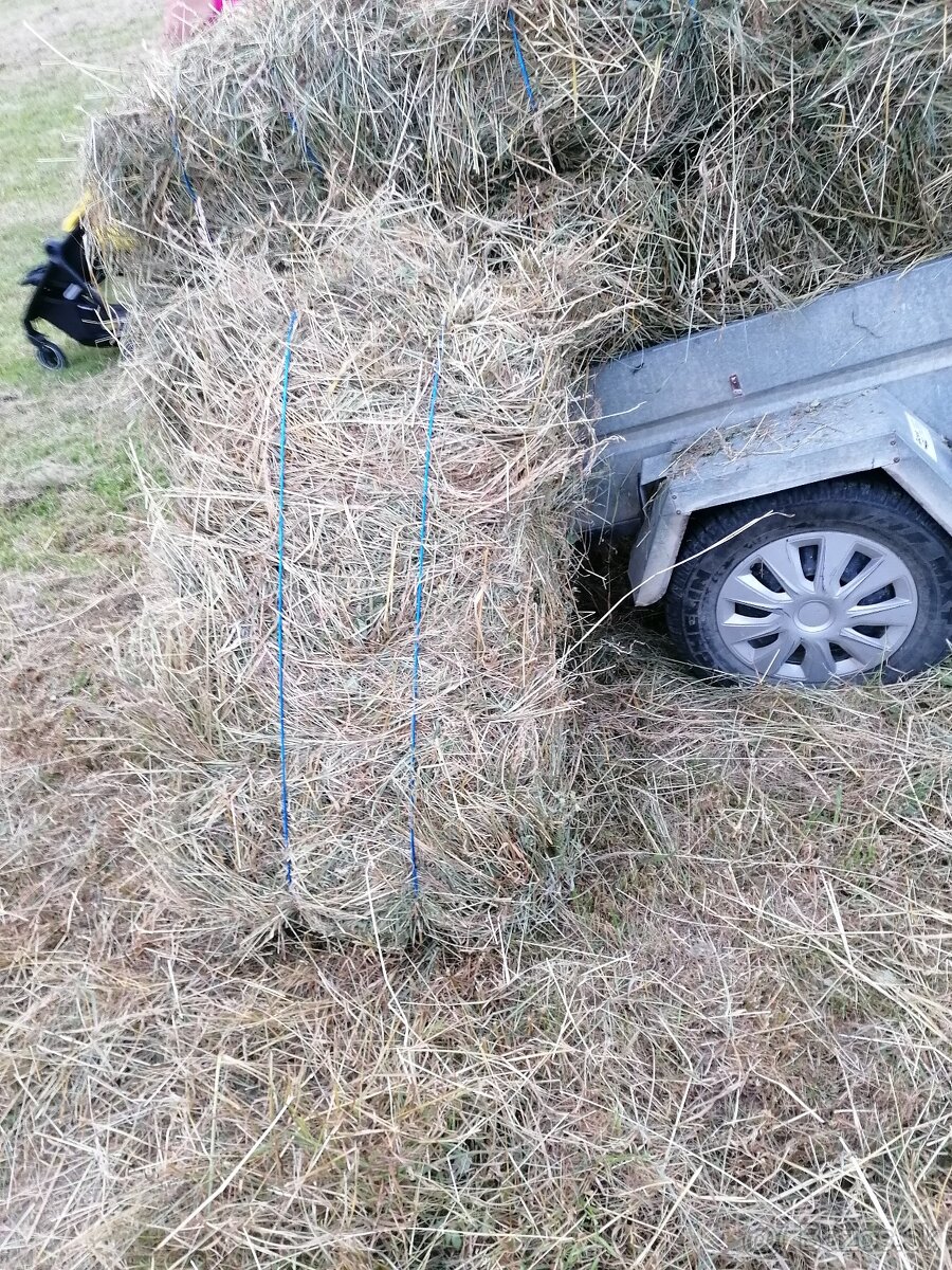 Predám seno v malých balíkoch