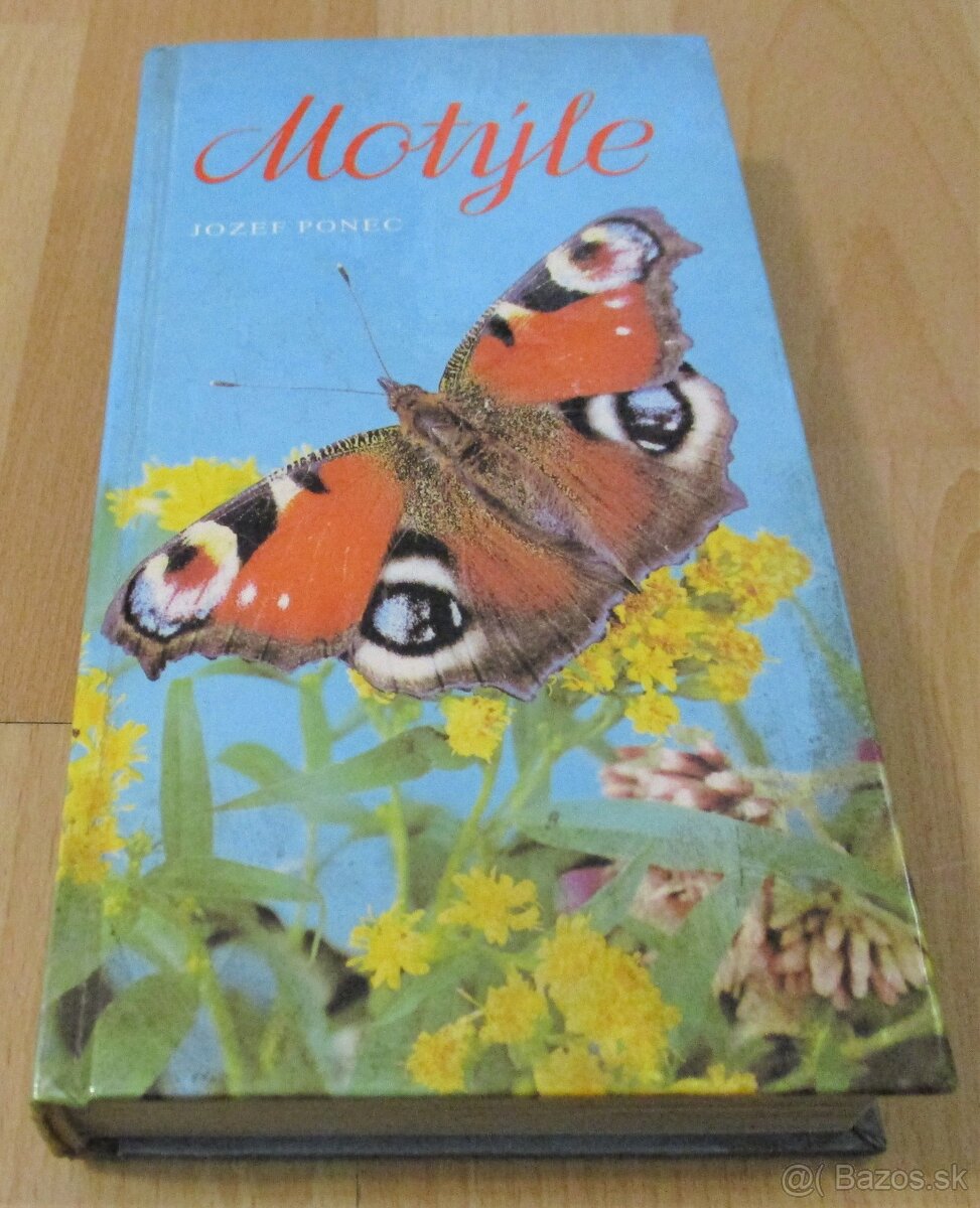 Motýle