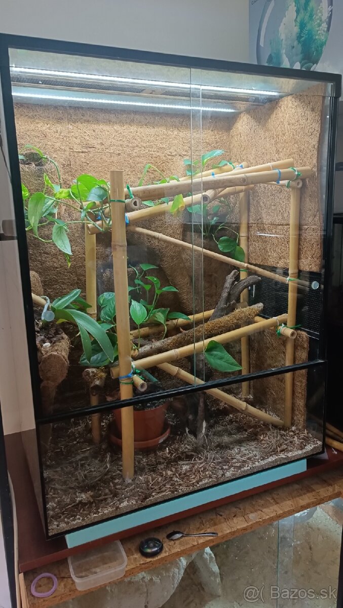 Terarium -predam/vymenim