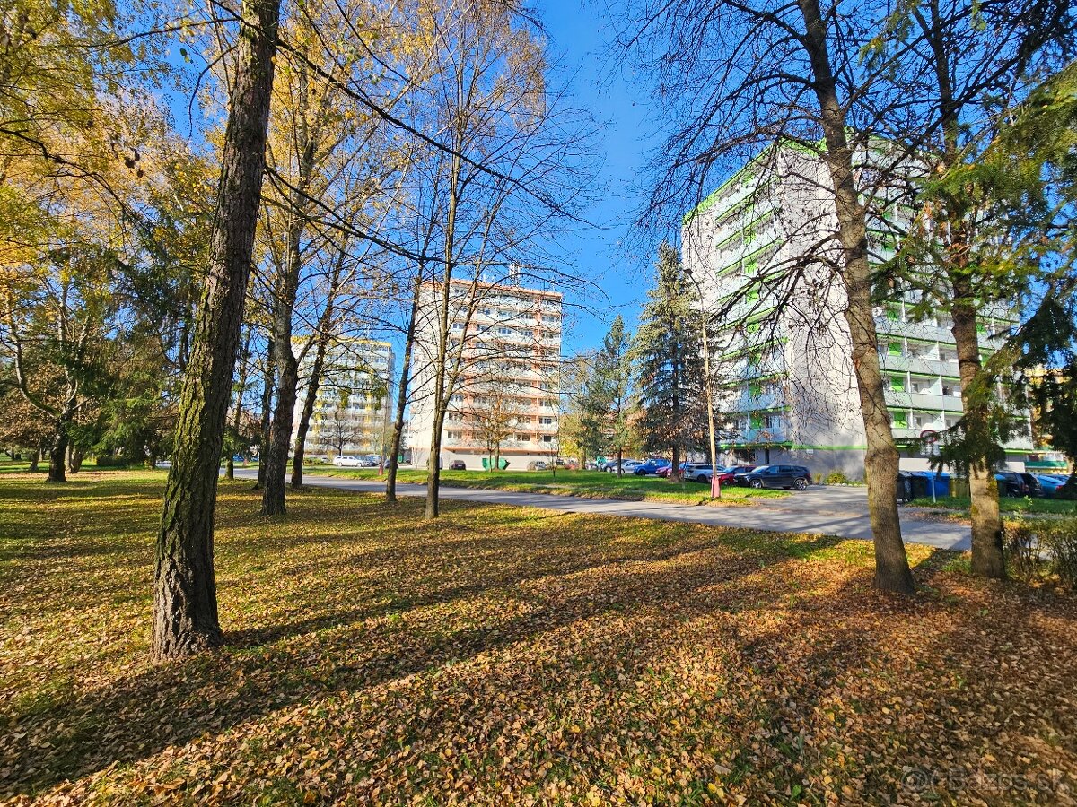 3 izbovy byt-vymena za 2 izbovy