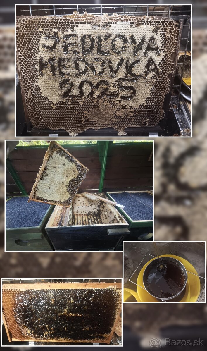Predám včelí med