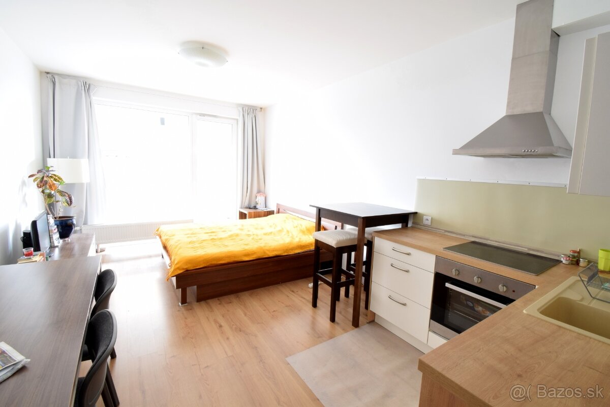 1 izbový byt, Bajkalská 45c, Novy Ružinov, dlhodobo, majitel