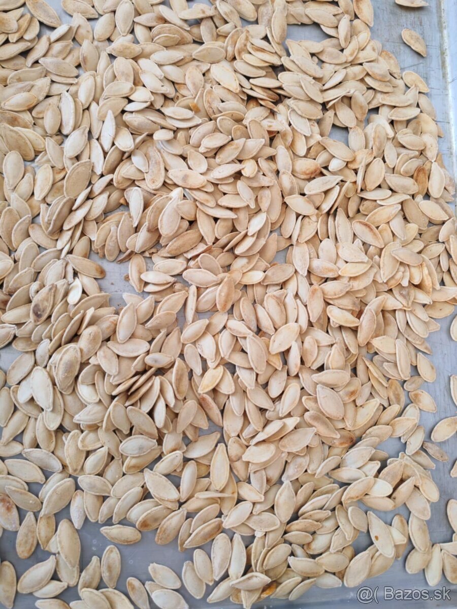 Predám tekvicové jadierka